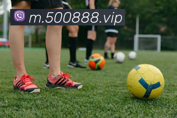 500cpAPP 封面图